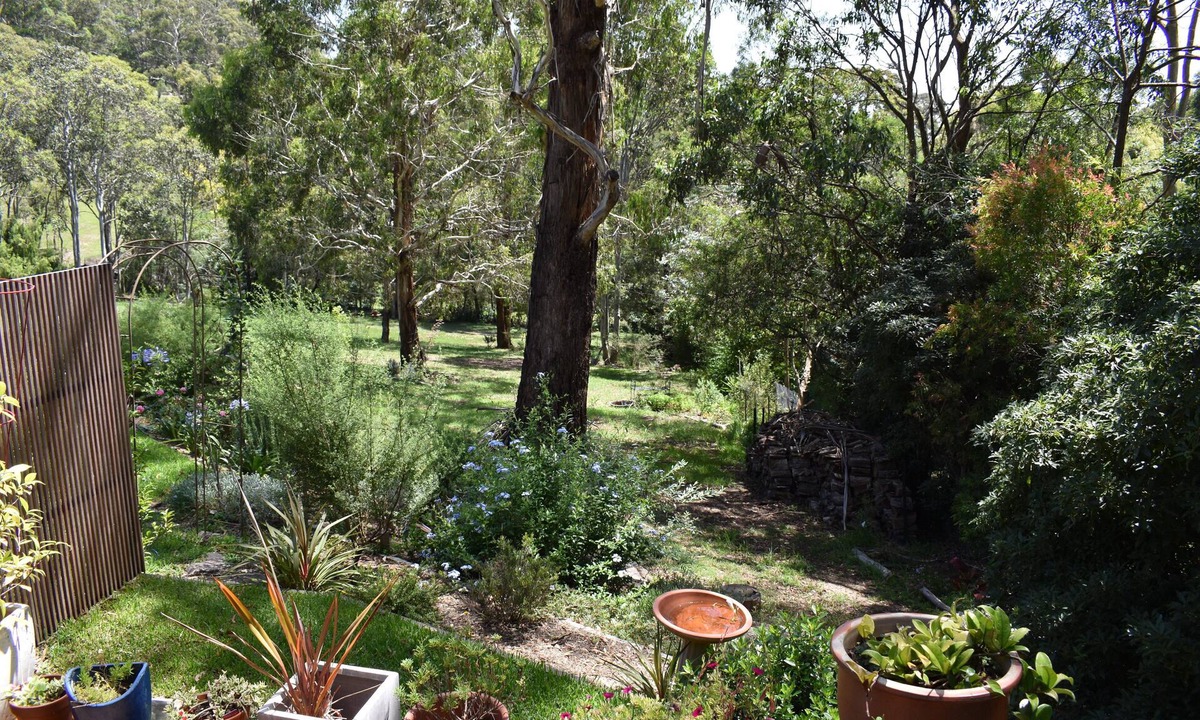 Mittagong Bed & Breakfast | After 7 years of hosting at Laughing Kookaburra Cottage, we are selling up.n
