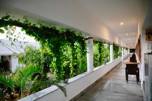 Mahabalipuram Hotel | Alice Paradise by Moonwalkers