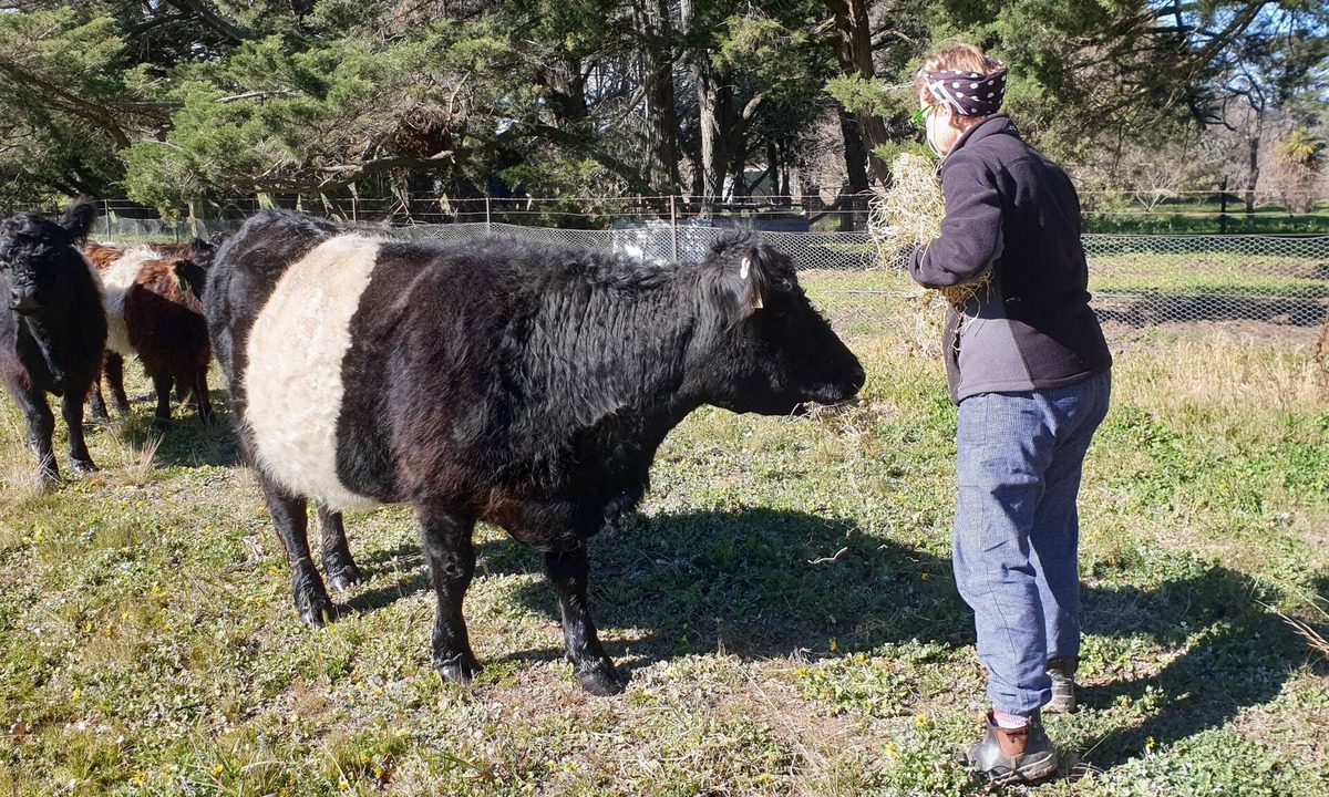 Tirrannaville Other | Beautiful historic sheep station - stunning outlook/bird watching - 2h from Syd