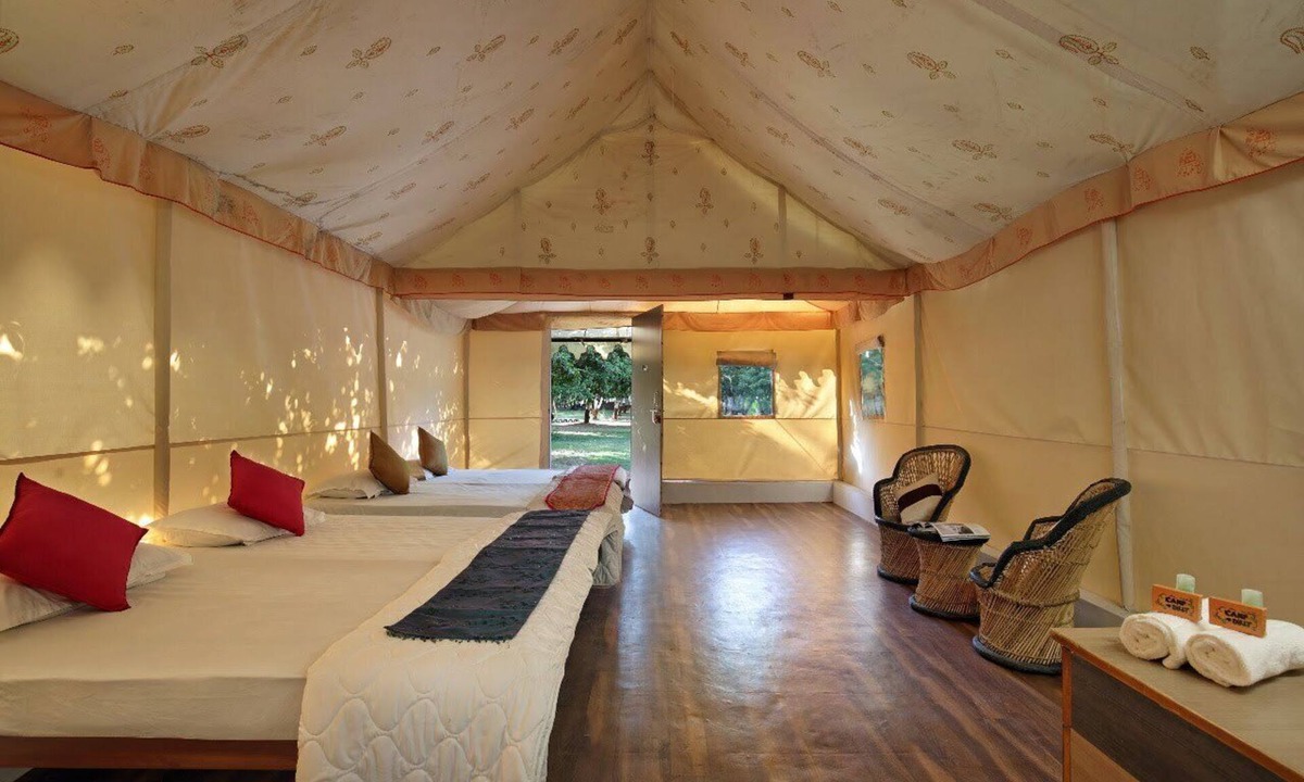 Borsad Resort | Camp Dilly