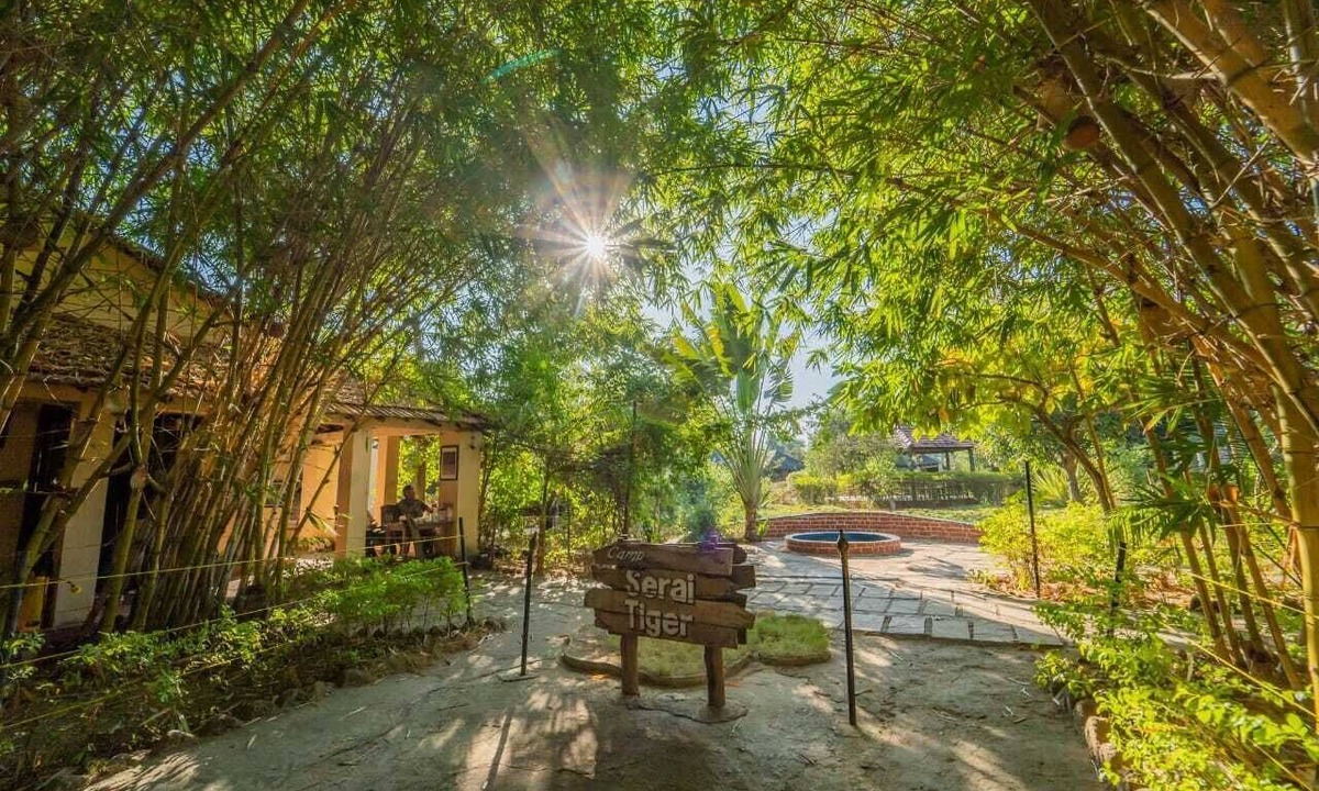 Moharli Hotel | Camp Serai Tiger Tadoba