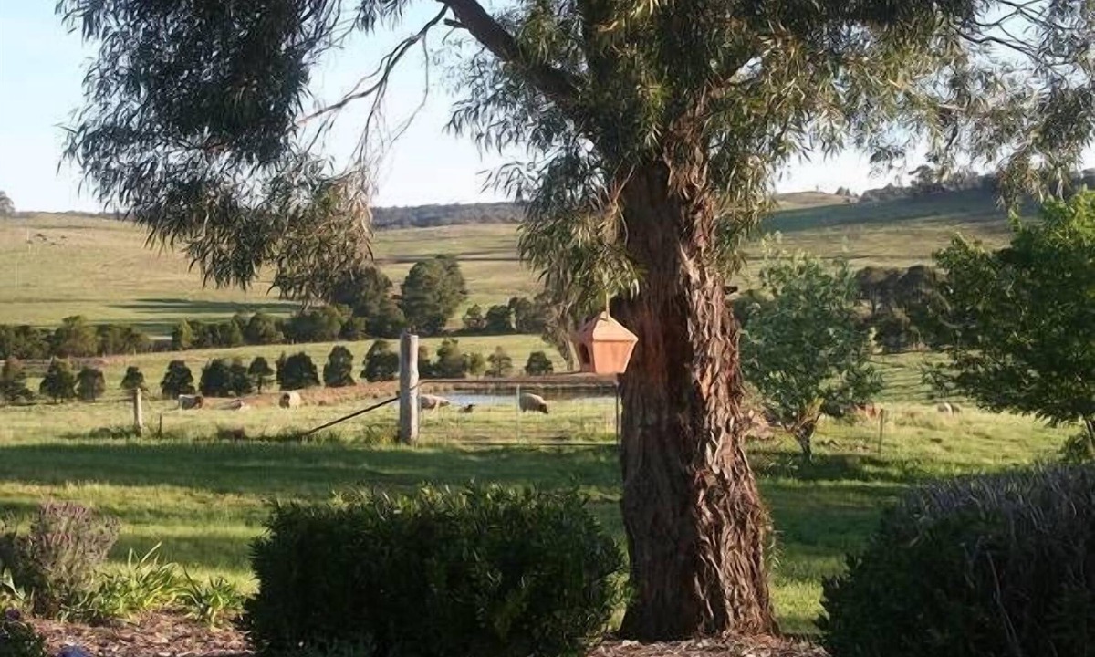 Big Hill House | FREE 2PM CHECKOUT at ROLLING HILLS FARMSTAY at Big Hill, sleeps up to 16.