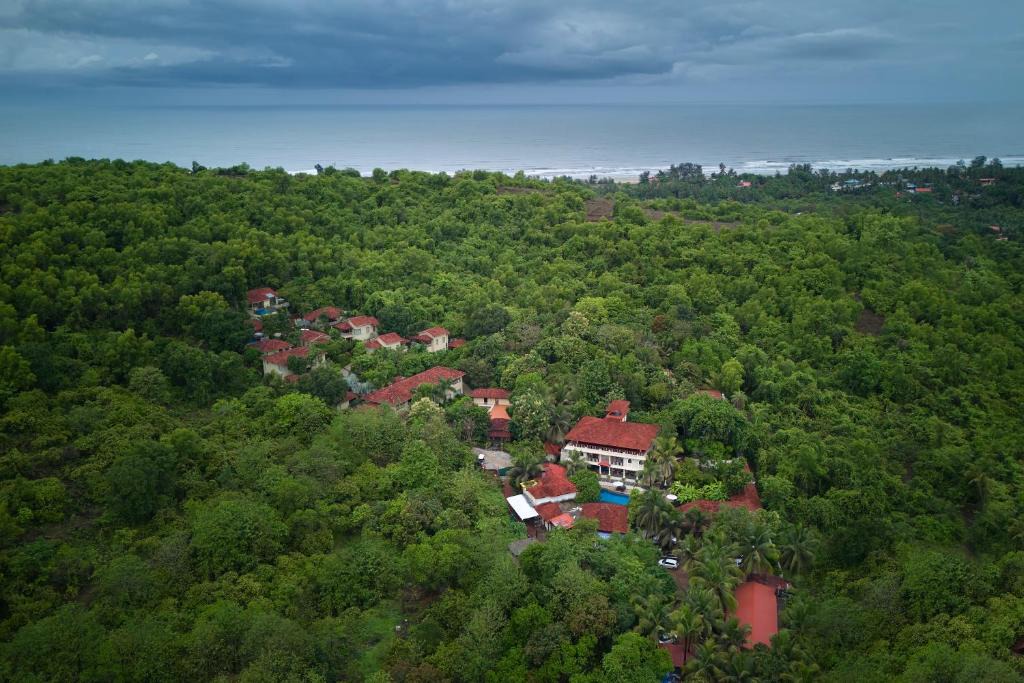Mandrem Resort | Golden Tulip Goa Mandrem