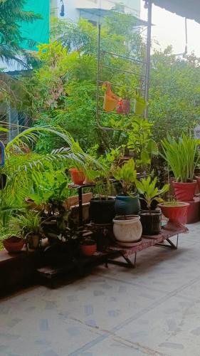 Durgapura House | Homestayinpinkcity