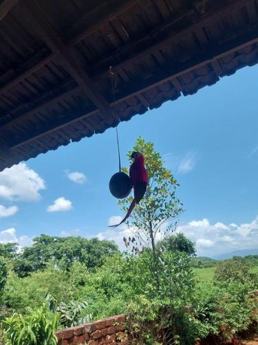 Kankavali Hotel | Maati Nature Resort