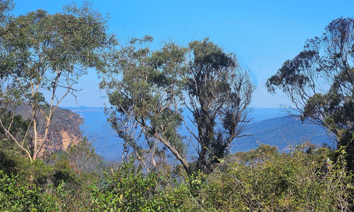 Wentworth Falls House | MOUNTAIN VIEWS fireplace SPA 5 bedrooms, air-cond, early checkin & late checkout