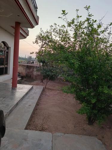 Patiala House | Padda Farm house