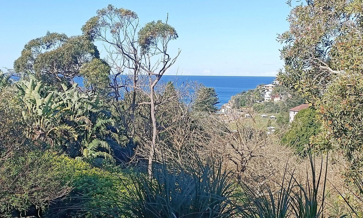 Bronte House | Private Oasis Overlooking Ocean & Bronte Gully
