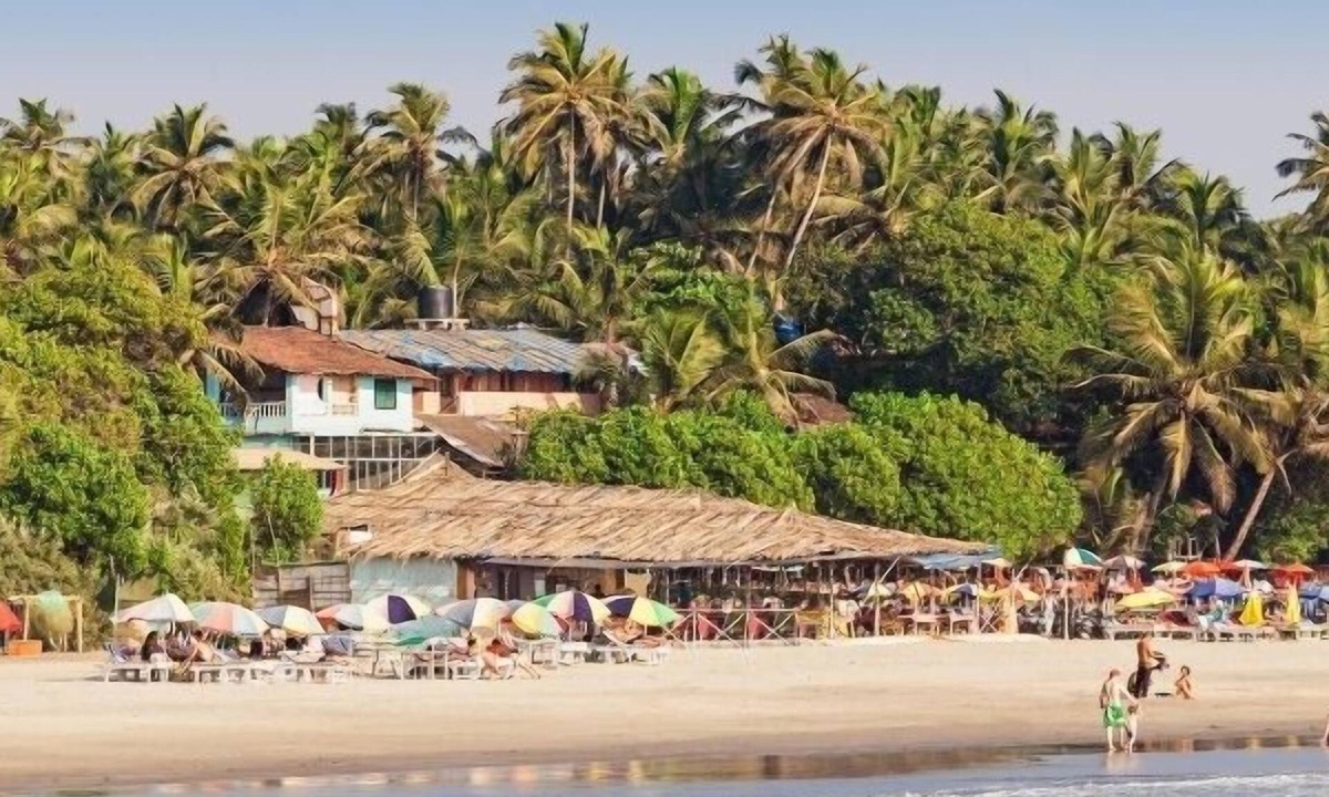 Gauravaddo Hotel | Resort The Lohias