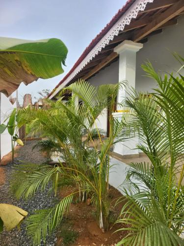 Arambol House | REWOGA Resort - Rooms with Open-Air Shower