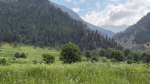 Gulmarg Other | Serene Stay Cottages Gurez Valley