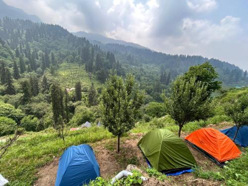Shangarh Other | The WILD Canopy