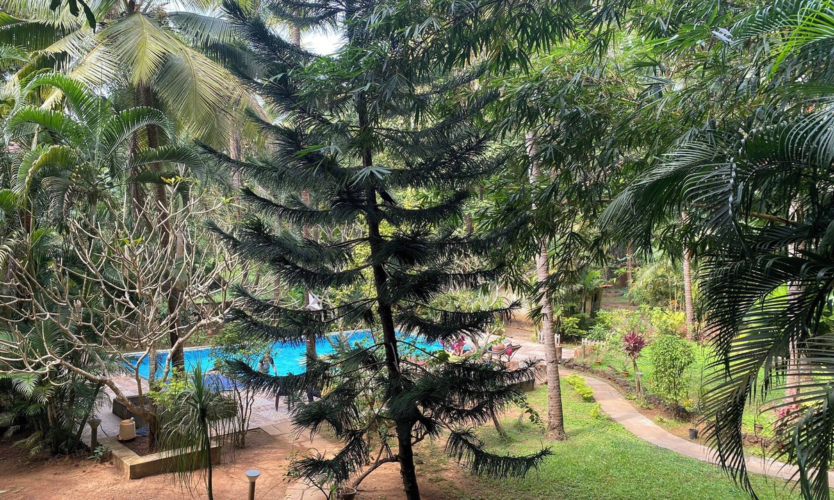 Palolem Apartment | Tranquil 1BHK Garden Estate, Pool | Palolem Beach