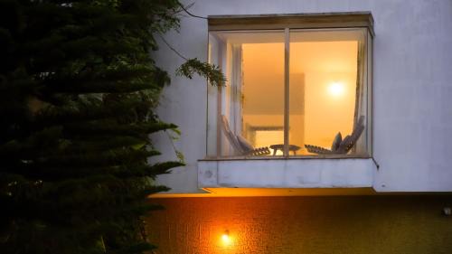 Ooty House | Willostays Cluster Clouds