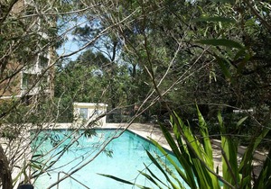 Fantastic home near Coogee beach