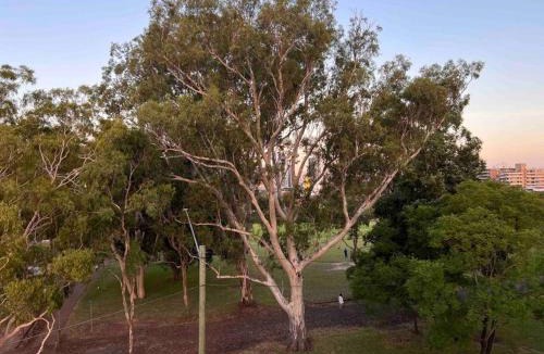 Parramatta Apartment | 2 Bdr Apartment in Parramatta Covenient Location