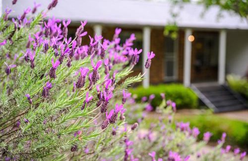 Bilpin Apartment | 4BR2BA Farmhouse Private Deck Shared Games Room H2