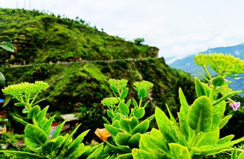 Kumharsain House | Aastik guest House