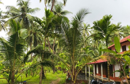 Honavar House | Ajjimane River Front Homestay Honnavara