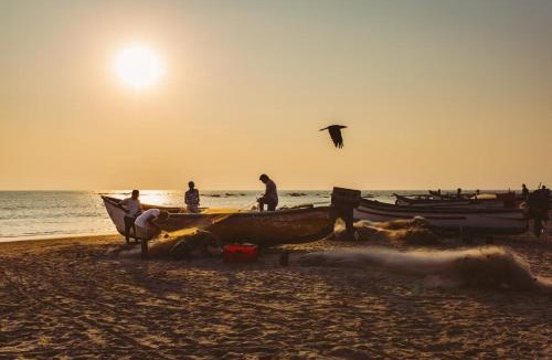 Mandrem Hotel | Alpa Viram Retreat Goa