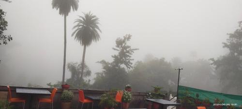 Mount Abu Villa | Amri's Villa