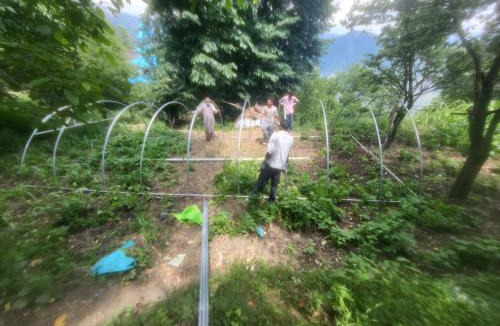 Udhampur District House | Arshad jahangeer House