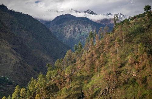 Banjar House | Atulya Orchard Retreat Tirthan Valley
