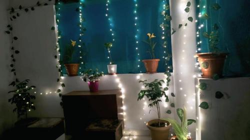 Bilaspur Apartment | Avenaa 2BHK Flat The Cozy Crest Bilaspur