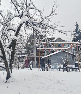 Old Manali Hostel | Basecamp Manali