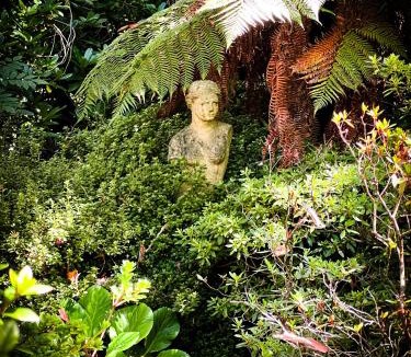 Blackheath House | Birdwood Guesthouse