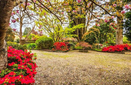 Blackheath House | Birdwood Guesthouse