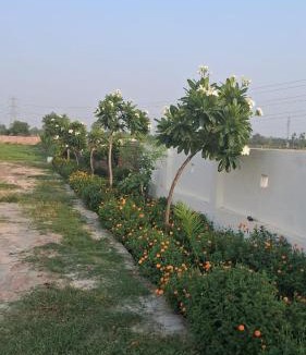 Faizabad Resort | Blessings