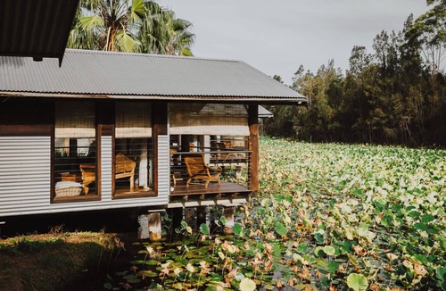 Lovedale Cabin | Boathouse 1 - Dog friendly and Accessible, The Showerhouse at Leaves and Fishes