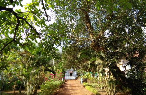 Assagao House | Botanique Goa