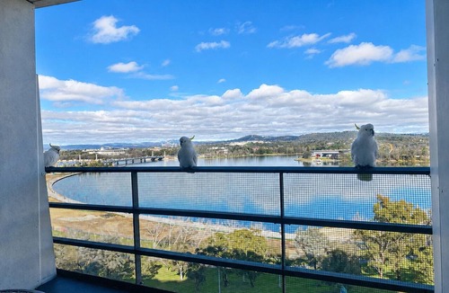City West Apartment | Boutique Canberra Stay | Balcony + Desk