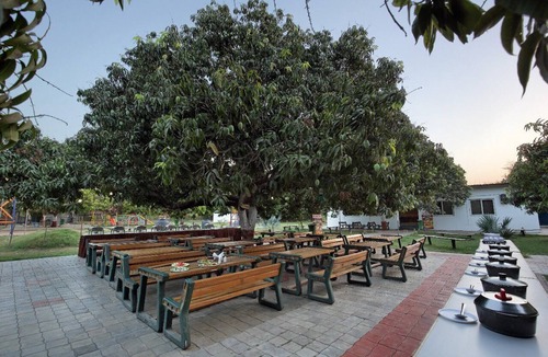 Borsad Resort | Camp Dilly