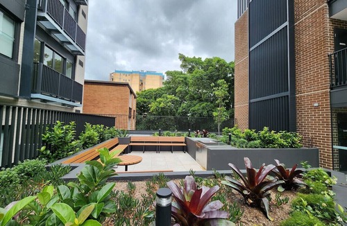 Kingsford Apartment | Cosy Unit Near Light Rail