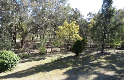 Hargraves House | Country property on 10 acres at a quiet village of Hargraves (pet friendly)