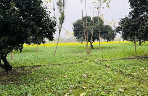 Lakhimpur House | Dudhwa Forest View Stay