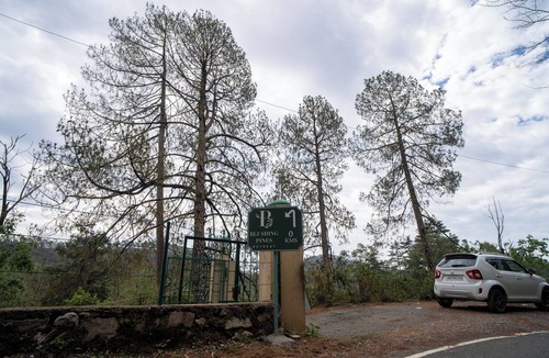 Shyamkhet Villa | ELIVAAS Blushing Pines Stunning 3 BHK