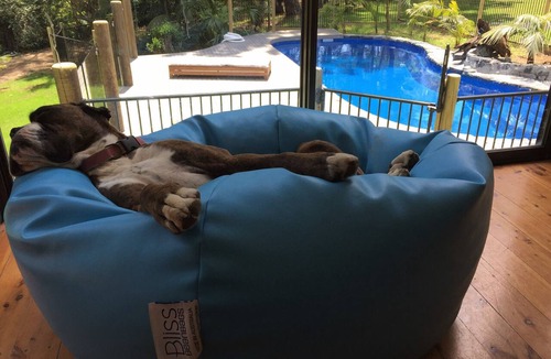 Diamond Beach House | EV-Friendly Dog Friendly Beachside Stay - Pool+Firepit