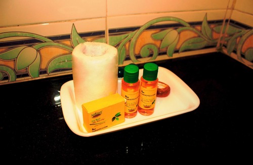 Nellore Hotel | Fabhotel New Raadhey Guest Inn