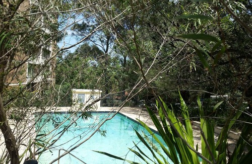 Randwick Apartment | Fantastic home near Coogee beach