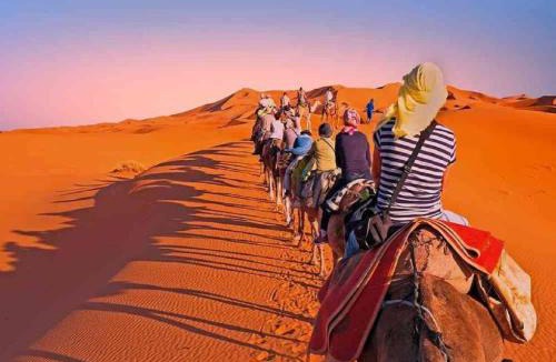 Amar Sagar Pol Other | Five Star Desert Camp & Resort