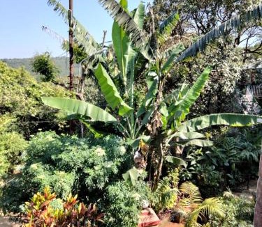 Mahabaleshwar House | Girichintan Bunglow