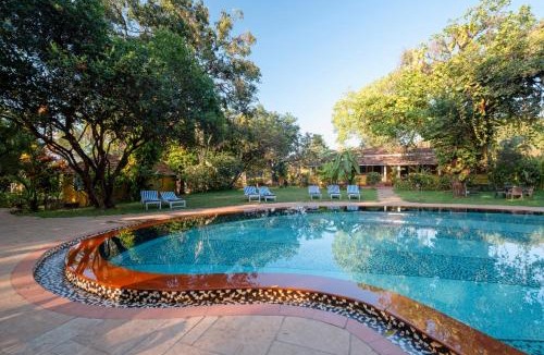 Anjuna Hotel | Granpa's Inn Hotel Bougainvillea