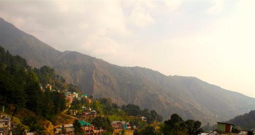 McLeod Ganj Hotel | Green Hotel