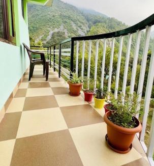 Dharamshala House | Green tree house