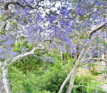 Kincumber Apartment | Green View Retreat Only 7 minutes to Terrigal Beach