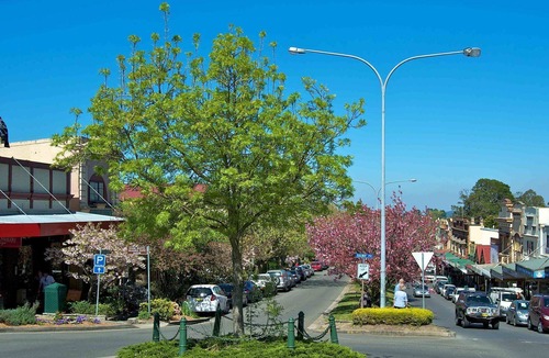 Wentworth Falls House | Gumtree Cottage in a quiet street with fenced yard